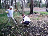 Highlight for Album: April 2007 Regeneration Day Murrumbidgee River