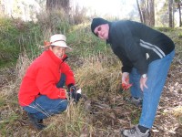 Highlight for Album: June 2007 Regeneration Day Murrumbidgee River