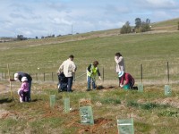 Highlight for Album: National Tree Day 2006 - Red Hill Road, Glenfield